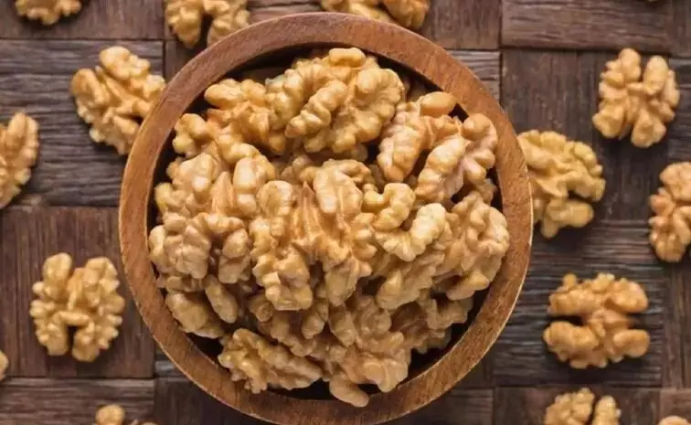 Walnuts: జ్ఞాపకశక్తికి వెన్నుముక వాల్ నట్స్.. తిని చూడండి! Walnuts: జ్ఞాపకశక్తికి వెన్నుముక వాల్ నట్స్.. తిని చూడండి!