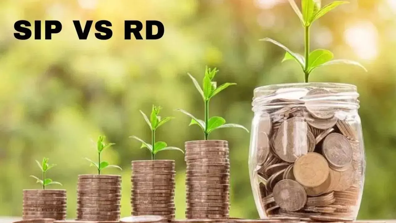 RD Vs SIP : నెలకు రూ.10 వేల పొదుపు.. ఆర్డీ మంచిదా? ఎస్ఐపి లాభదాయకమా? RD Vs SIP : నెలకు రూ.10 వేల పొదుపు.. ఆర్డీ మంచిదా? ఎస్ఐపి లాభదాయకమా?