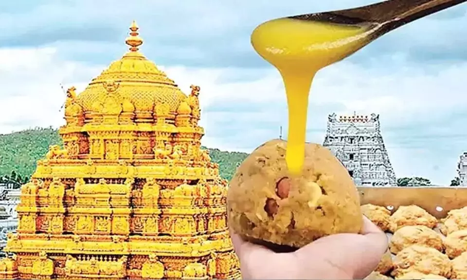 Tirumala Venkateswara Temple Prasadam Adulteration Issue: తిరుమల ప్రసాదం కల్తీ వ్యవహారం: ఏకసభ్య కమిషన్ నివేదిక అమలుకు ఉన్నతస్థాయి కమిటీ Tirumala Venkateswara Temple Prasadam Adulteration Issue: తిరుమల ప్రసాదం కల్తీ వ్యవహారం: ఏకసభ్య కమిషన్ నివేదిక అమలుకు ఉన్నతస్థాయి కమిటీ