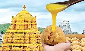 Tirumala Venkateswara Temple Prasadam Adulteration Issue: తిరుమల ప్రసాదం కల్తీ వ్యవహారం: ఏకసభ్య కమిషన్ నివేదిక అమలుకు ఉన్నతస్థాయి కమిటీ Tirumala Venkateswara Temple Prasadam Adulteration Issue: తిరుమల ప్రసాదం కల్తీ వ్యవహారం: ఏకసభ్య కమిషన్ నివేదిక అమలుకు ఉన్నతస్థాయి కమిటీ