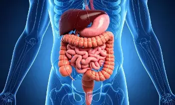 Silent Killer Fatty Liver: సైలెంట్ కిల్లర్ ఫ్యాటీ లివర్.. లక్షణాలను నిర్లక్ష్యం చేస్తే ముప్పే Silent Killer Fatty Liver: సైలెంట్ కిల్లర్ ఫ్యాటీ లివర్.. లక్షణాలను నిర్లక్ష్యం చేస్తే ముప్పే
