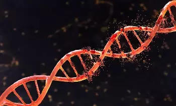 Rising Thalassemia Cases: పెరుగుతున్న థలసేమియా కేసులు.. పెళ్లికి ముందు ఆ పరీక్ష తప్పనిసరి.. Rising Thalassemia Cases: పెరుగుతున్న థలసేమియా కేసులు.. పెళ్లికి ముందు ఆ పరీక్ష తప్పనిసరి..