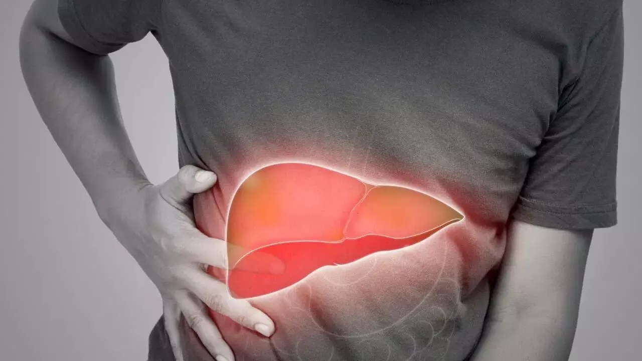 Fatty Liver: ఫ్యాటీ లివర్ అంటే కాలేయ సమస్య మాత్రమే కాదు.. ఇతర అవయవాలకూ ప్రమాదమే Fatty Liver: ఫ్యాటీ లివర్ అంటే కాలేయ సమస్య మాత్రమే కాదు.. ఇతర అవయవాలకూ ప్రమాదమే