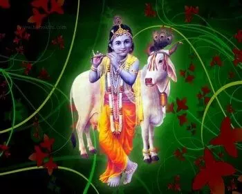 Santana Gopala Swamy Puja: సంతాన ప్రాప్తి కోసం సంతాన గోపాల స్వామి పూజ విధానం ఇదే! Santana Gopala Swamy Puja: సంతాన ప్రాప్తి కోసం సంతాన గోపాల స్వామి పూజ విధానం ఇదే!