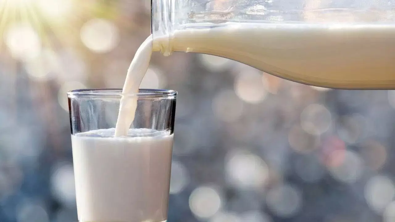 Don’t Like Drinking Milk: పాలు తాగడం ఇష్టం లేదా? అయితే ఎక్కువ కాల్షియం ఇచ్చే ఈ 7 ఆహారాల గురించి తెలుసుకోండి.. Don’t Like Drinking Milk: పాలు తాగడం ఇష్టం లేదా? అయితే ఎక్కువ కాల్షియం ఇచ్చే ఈ 7 ఆహారాల గురించి తెలుసుకోండి..