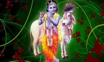 Santana Gopala Swamy Puja: సంతాన ప్రాప్తి కోసం సంతాన గోపాల స్వామి పూజ విధానం ఇదే! Santana Gopala Swamy Puja: సంతాన ప్రాప్తి కోసం సంతాన గోపాల స్వామి పూజ విధానం ఇదే!