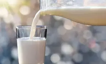 Don’t Like Drinking Milk: పాలు తాగడం ఇష్టం లేదా? అయితే ఎక్కువ కాల్షియం ఇచ్చే ఈ 7 ఆహారాల గురించి తెలుసుకోండి.. Don’t Like Drinking Milk: పాలు తాగడం ఇష్టం లేదా? అయితే ఎక్కువ కాల్షియం ఇచ్చే ఈ 7 ఆహారాల గురించి తెలుసుకోండి..