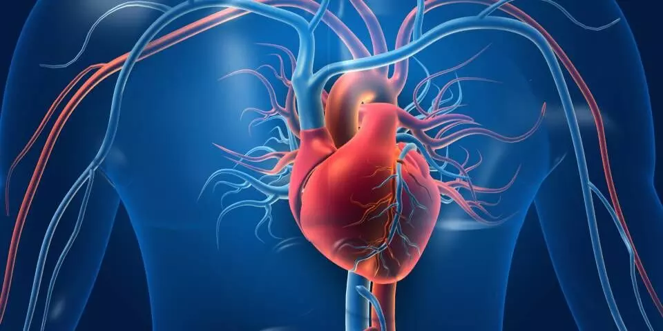 Heart: జాగ్రత్త.. రాత్రి 8 గంటల తర్వాత మీరు చేసే ఈ 6 పనులు మీ గుండెకు చేటు చేయవచ్చు.. Heart: జాగ్రత్త.. రాత్రి 8 గంటల తర్వాత మీరు చేసే ఈ 6 పనులు మీ గుండెకు చేటు చేయవచ్చు..