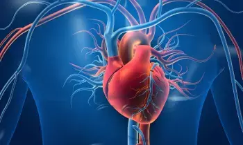Heart: జాగ్రత్త.. రాత్రి 8 గంటల తర్వాత మీరు చేసే ఈ 6 పనులు మీ గుండెకు చేటు చేయవచ్చు.. Heart: జాగ్రత్త.. రాత్రి 8 గంటల తర్వాత మీరు చేసే ఈ 6 పనులు మీ గుండెకు చేటు చేయవచ్చు..