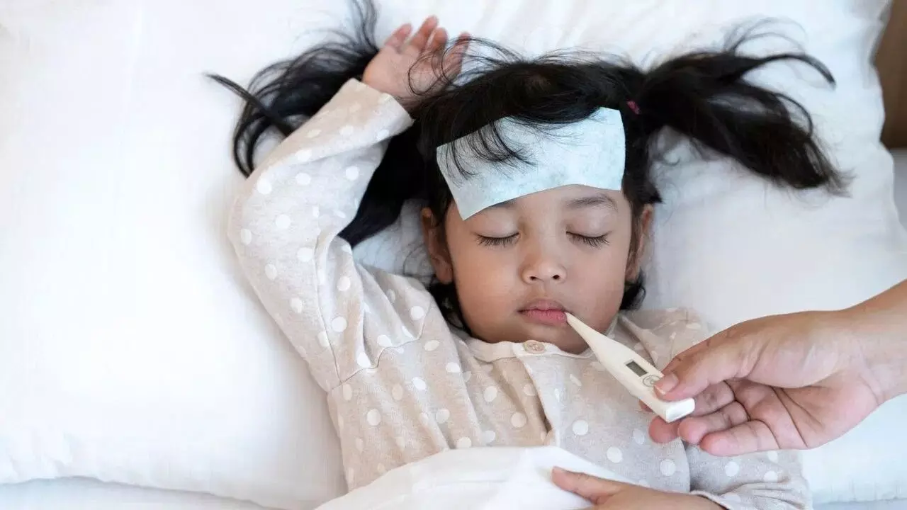 Typhoid Spreading Among Children: పిల్లల్లో టైఫాయిడ్ పంజా.. సాధారణ జ్వరం అనుకుని పొరపడకండి.. ఈ లక్షణాలు కనిపిస్తే వెంటనే అలర్ట్ అవ్వండి.. Typhoid Spreading Among Children: పిల్లల్లో టైఫాయిడ్ పంజా.. సాధారణ జ్వరం అనుకుని పొరపడకండి.. ఈ లక్షణాలు కనిపిస్తే వెంటనే అలర్ట్ అవ్వండి..