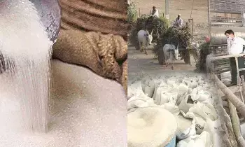 Sugar Exports Ban : మోదీ సర్కార్ సంచలన నిర్ణయం.. ఇకపై విదేశాలకు ఒక్క కిలో చక్కెర కూడా వెళ్లదు Sugar Exports Ban : మోదీ సర్కార్ సంచలన నిర్ణయం.. ఇకపై విదేశాలకు ఒక్క కిలో చక్కెర కూడా వెళ్లదు