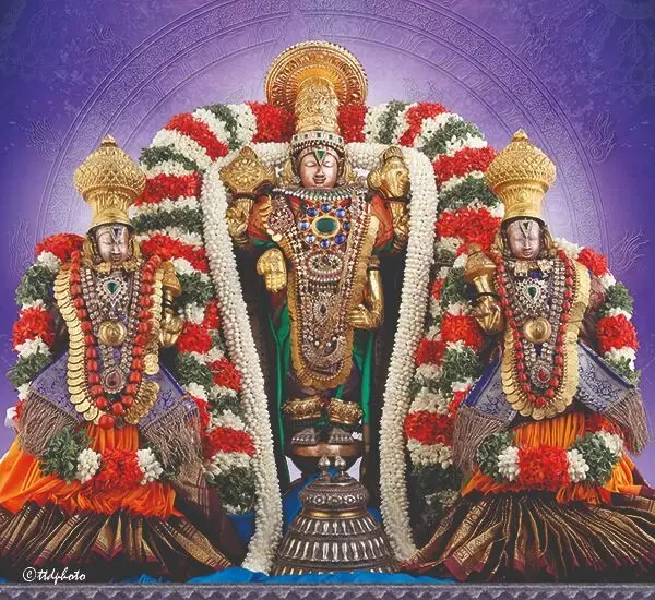 Brahmotsavams: మే 28 నుండి జూన్ 5 వరకు నారాయణవనంలో బ్రహ్మోత్సవాలు Brahmotsavams: మే 28 నుండి జూన్ 5 వరకు నారాయణవనంలో బ్రహ్మోత్సవాలు