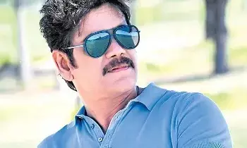 Hero Nagarjuna Playing a Safe Game: టాలీవుడ్ సీనియర్ హీరో నాగార్జున సేఫ్ గేమ్