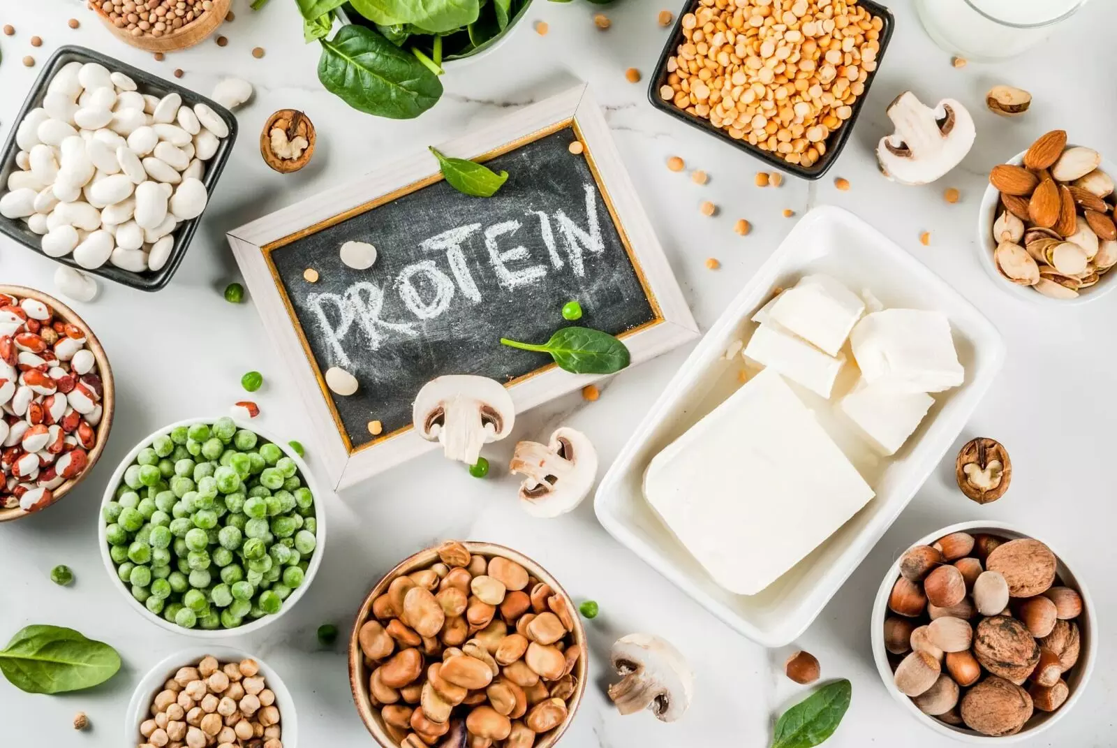 Signs That Your Body May Be Lacking Protein: మీ బాడీలో ప్రోటీన్ తగ్గిందని చెప్పే సంకేతాలివే.! Signs That Your Body May Be Lacking Protein: మీ బాడీలో ప్రోటీన్ తగ్గిందని చెప్పే సంకేతాలివే.!