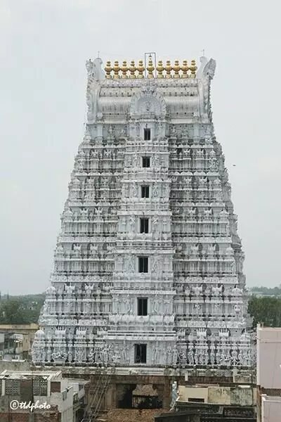 Sri Govindaraja Swamy Temple: మే 18న శ్రీ గోవిందరాజస్వామివారి ఆలయంలో వైభవంగా కోయిల్ ఆళ్వార్ తిరుమంజనం Sri Govindaraja Swamy Temple: మే 18న శ్రీ గోవిందరాజస్వామివారి ఆలయంలో వైభవంగా కోయిల్ ఆళ్వార్ తిరుమంజనం