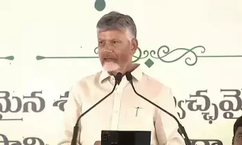 CM Chandrababu: మూడో బిడ్డ పుట్టితే రూ.30 వేలు.. నాలుగో బిడ్డకు రూ.40 వేలు: సీఎం చంద్రబాబు