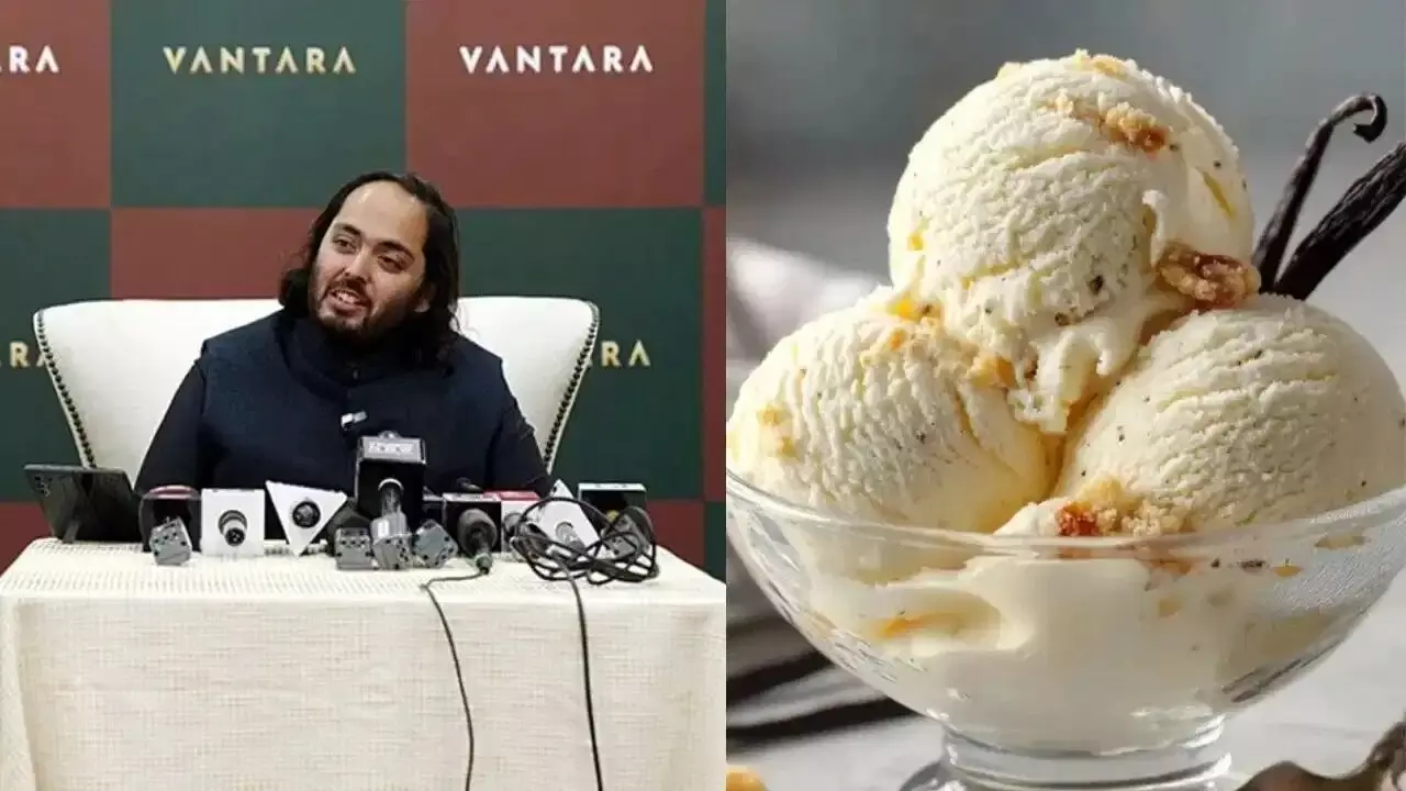 Vantara Creamery : మార్కెట్లోకి అనంత్ అంబానీ ఐస్క్రీమ్ బ్రాండ్.. ధర వింటే మైండ్ బ్లాక్ అవ్వాల్సిందే Vantara Creamery : మార్కెట్లోకి అనంత్ అంబానీ ఐస్క్రీమ్ బ్రాండ్.. ధర వింటే మైండ్ బ్లాక్ అవ్వాల్సిందే