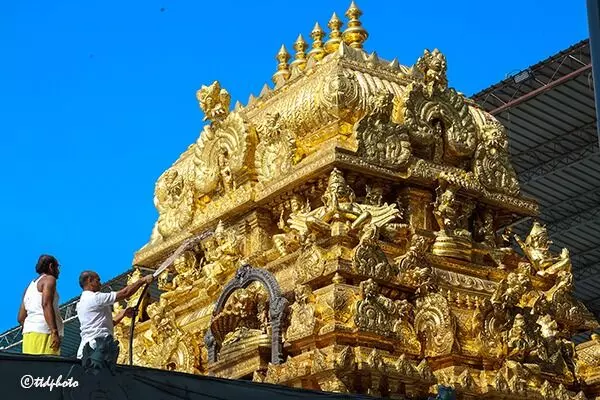 Sri Govindaraja Swamy Temple: శ్రీ గోవిందరాజస్వామివారి ఆలయంలో కోయిల్ ఆళ్వార్ తిరుమంజనం Sri Govindaraja Swamy Temple: శ్రీ గోవిందరాజస్వామివారి ఆలయంలో కోయిల్ ఆళ్వార్ తిరుమంజనం