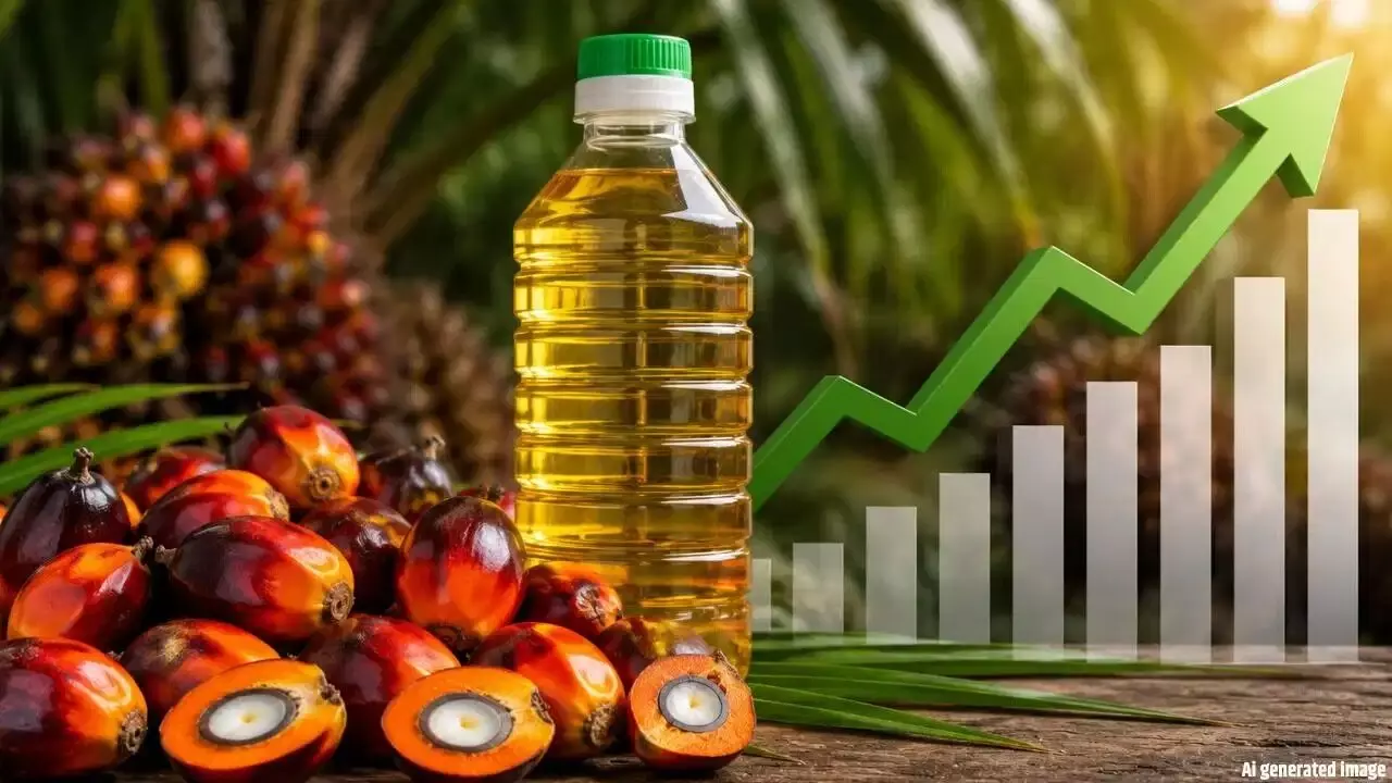 Palm Oil : అంతర్జాతీయ మార్కెట్లో రికార్డు స్థాయికి పామ్ ఆయిల్ ధరలు.. జూన్లోనూ సామాన్యులకు తప్పని భారం Palm Oil : అంతర్జాతీయ మార్కెట్లో రికార్డు స్థాయికి పామ్ ఆయిల్ ధరలు.. జూన్లోనూ సామాన్యులకు తప్పని భారం