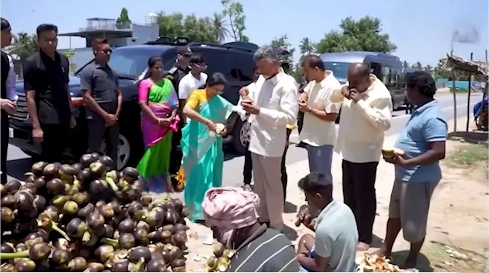 CM Chandrababu and His Wife: ‘చిన్ననాటి రోజులు గుర్తొచ్చాయ్’.. రోడ్డు పక్కన ఆగి తాటి ముంజలు తిన్న సీఎం చంద్రబాబు దంపతులు CM Chandrababu and His Wife: ‘చిన్ననాటి రోజులు గుర్తొచ్చాయ్’.. రోడ్డు పక్కన ఆగి తాటి ముంజలు తిన్న సీఎం చంద్రబాబు దంపతులు