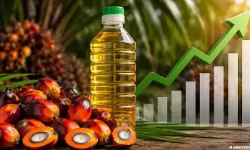 Palm Oil : అంతర్జాతీయ మార్కెట్లో రికార్డు స్థాయికి పామ్ ఆయిల్ ధరలు.. జూన్లోనూ సామాన్యులకు తప్పని భారం Palm Oil : అంతర్జాతీయ మార్కెట్లో రికార్డు స్థాయికి పామ్ ఆయిల్ ధరలు.. జూన్లోనూ సామాన్యులకు తప్పని భారం