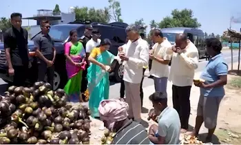 CM Chandrababu and His Wife: ‘చిన్ననాటి రోజులు గుర్తొచ్చాయ్‌’.. రోడ్డు పక్కన ఆగి తాటి ముంజలు తిన్న సీఎం చంద్రబాబు దంపతులు