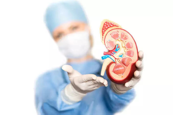 Kidney Failure: కిడ్నీ ఫెయిల్యూర్: డయాలసిస్ శాశ్వతం కాదు.. కిడ్నీ మార్పిడి ఎప్పుడు అవసరమో తెలుసుకోండి.. Kidney Failure: కిడ్నీ ఫెయిల్యూర్: డయాలసిస్ శాశ్వతం కాదు.. కిడ్నీ మార్పిడి ఎప్పుడు అవసరమో తెలుసుకోండి..