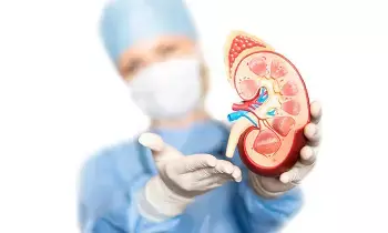 Kidney Failure: కిడ్నీ ఫెయిల్యూర్: డయాలసిస్ శాశ్వతం కాదు.. కిడ్నీ మార్పిడి ఎప్పుడు అవసరమో తెలుసుకోండి.. Kidney Failure: కిడ్నీ ఫెయిల్యూర్: డయాలసిస్ శాశ్వతం కాదు.. కిడ్నీ మార్పిడి ఎప్పుడు అవసరమో తెలుసుకోండి..