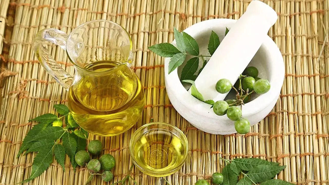 Use Neem Leaves and Neem Oil for Your Face: వేపాకు, వేపనూనెను ముఖానికి ఎలా వాడాలో తెలుసా? Use Neem Leaves and Neem Oil for Your Face: వేపాకు, వేపనూనెను ముఖానికి ఎలా వాడాలో తెలుసా?