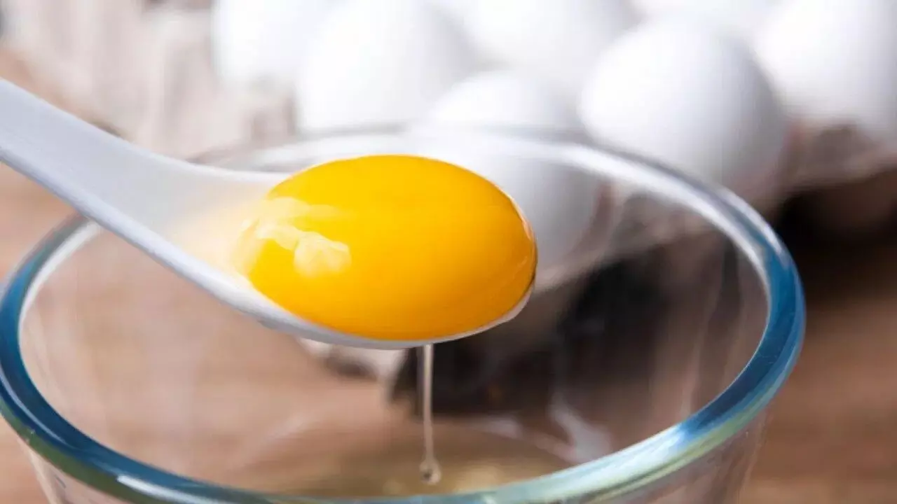 High Cholesterol Eat Egg Yolks: హై కొలెస్ట్రాల్ ఉన్నవారు గుడ్డు పచ్చసొన తినవచ్చా? పాత నమ్మకాలను పటాపంచలు చేస్తున్న సరికొత్త అధ్యయనాలు.. High Cholesterol Eat Egg Yolks: హై కొలెస్ట్రాల్ ఉన్నవారు గుడ్డు పచ్చసొన తినవచ్చా? పాత నమ్మకాలను పటాపంచలు చేస్తున్న సరికొత్త అధ్యయనాలు..