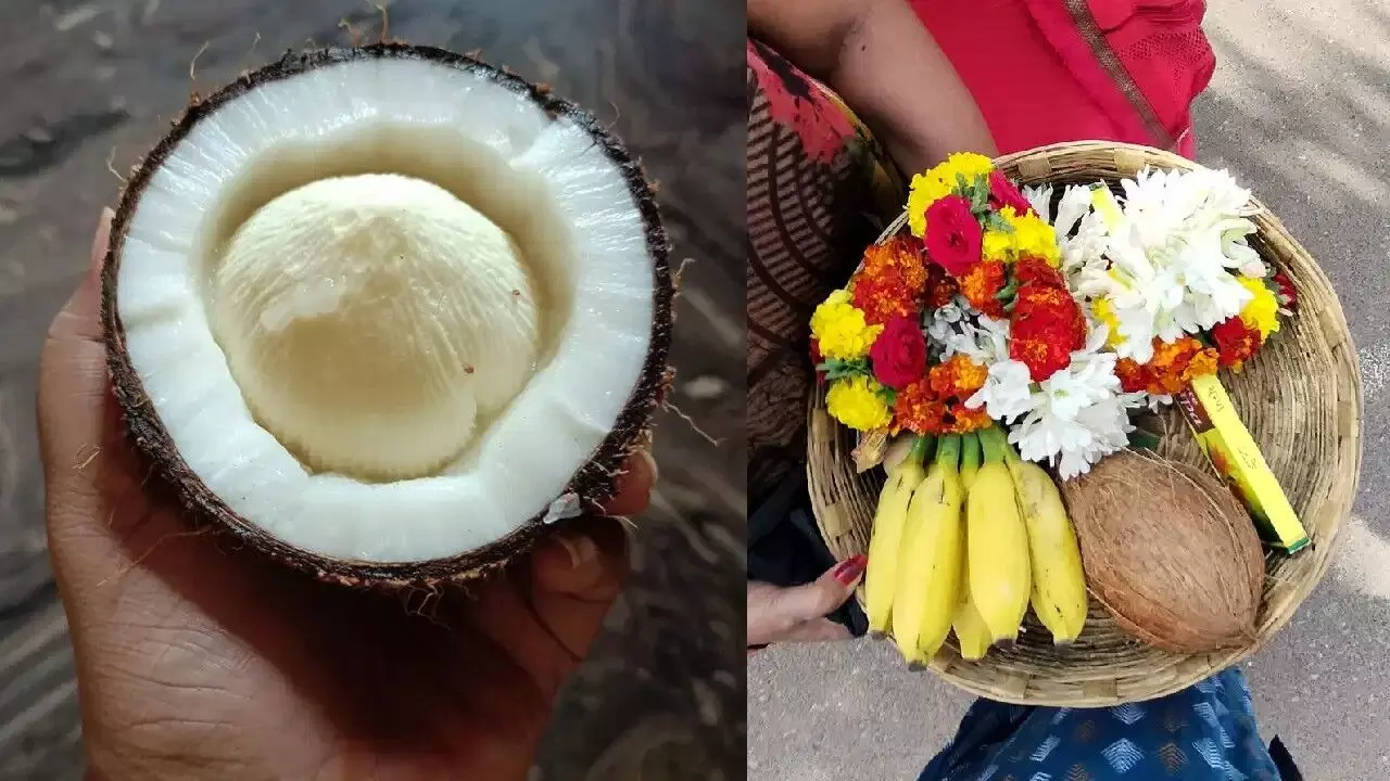 Flower Appear Inside the Coconut Broken: దేవుడి ముందు కొట్టిన కొబ్బరికాయలో పువ్వు వచ్చిందా? అది అరిష్టమా, అదృష్టమా? అసలు నిజం ఇదీ.. Flower Appear Inside the Coconut Broken: దేవుడి ముందు కొట్టిన కొబ్బరికాయలో పువ్వు వచ్చిందా? అది అరిష్టమా, అదృష్టమా? అసలు నిజం ఇదీ..