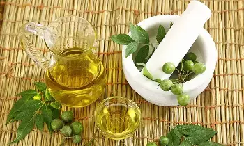 Use Neem Leaves and Neem Oil for Your Face: వేపాకు, వేపనూనెను ముఖానికి ఎలా వాడాలో తెలుసా? Use Neem Leaves and Neem Oil for Your Face: వేపాకు, వేపనూనెను ముఖానికి ఎలా వాడాలో తెలుసా?