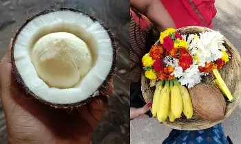 Flower Appear Inside the Coconut Broken: దేవుడి ముందు కొట్టిన కొబ్బరికాయలో పువ్వు వచ్చిందా? అది అరిష్టమా, అదృష్టమా? అసలు నిజం ఇదీ.. Flower Appear Inside the Coconut Broken: దేవుడి ముందు కొట్టిన కొబ్బరికాయలో పువ్వు వచ్చిందా? అది అరిష్టమా, అదృష్టమా? అసలు నిజం ఇదీ..