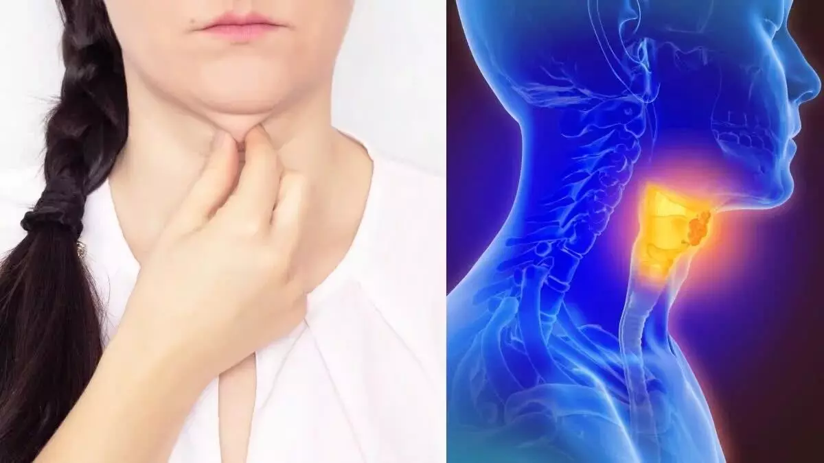 Thyroid Problems Cause High Blood Pressure: థైరాయిడ్ సమస్యల వల్ల రక్తపోటు పెరుగుతుందా? వైద్యులు ఏమంటున్నారు? Thyroid Problems Cause High Blood Pressure: థైరాయిడ్ సమస్యల వల్ల రక్తపోటు పెరుగుతుందా? వైద్యులు ఏమంటున్నారు?