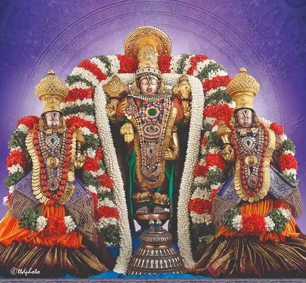 Narayanavanam Temple Brahmotsavams: మే 27న నారాయణవనం ఆలయ బ్రహ్మోత్సవాలకు అంకురార్పణ Narayanavanam Temple Brahmotsavams: మే 27న నారాయణవనం ఆలయ బ్రహ్మోత్సవాలకు అంకురార్పణ