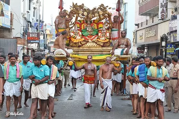 Sri Govindaraja Swamy Temple Annual Brahmotsavall: కల్పవృక్ష వాహనంపై కోనేటిరాయుడి దివ్య దర్శనం Sri Govindaraja Swamy Temple Annual Brahmotsavall: కల్పవృక్ష వాహనంపై కోనేటిరాయుడి దివ్య దర్శనం