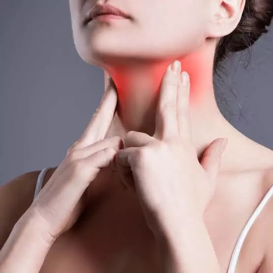 Thyroid Problems: భారత్లో ప్రమాదకరంగా మారుతున్న థైరాయిడ్.. నిపుణులు సూచిస్తున్న ఆహార నియమాలు ఇవే.. Thyroid Problems: భారత్లో ప్రమాదకరంగా మారుతున్న థైరాయిడ్.. నిపుణులు సూచిస్తున్న ఆహార నియమాలు ఇవే..