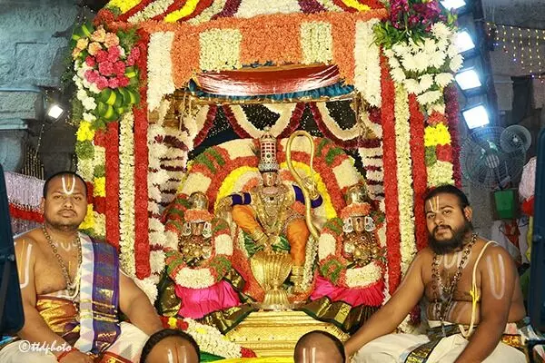 Sri Govindaraja Swamy Temple Brahmotsavam: సర్వభూపాల వాహనంపై దివ్య దర్శనమిచ్చిన గోవిందరాజస్వామి Sri Govindaraja Swamy Temple Brahmotsavam: సర్వభూపాల వాహనంపై దివ్య దర్శనమిచ్చిన గోవిందరాజస్వామి