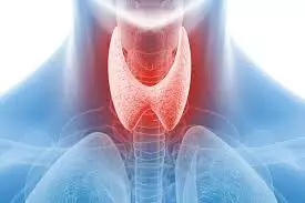 Thyroid Problems: బీపీ పెరగడానికి థైరాయిడ్ కారణమా..? Thyroid Problems: బీపీ పెరగడానికి థైరాయిడ్ కారణమా..?