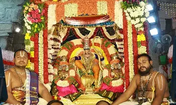 Sri Govindaraja Swamy Temple Brahmotsavam: సర్వభూపాల వాహనంపై దివ్య దర్శనమిచ్చిన గోవిందరాజస్వామి Sri Govindaraja Swamy Temple Brahmotsavam: సర్వభూపాల వాహనంపై దివ్య దర్శనమిచ్చిన గోవిందరాజస్వామి