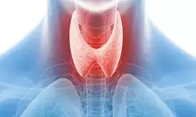 Thyroid Problems: బీపీ పెరగడానికి థైరాయిడ్ కారణమా..? Thyroid Problems: బీపీ పెరగడానికి థైరాయిడ్ కారణమా..?