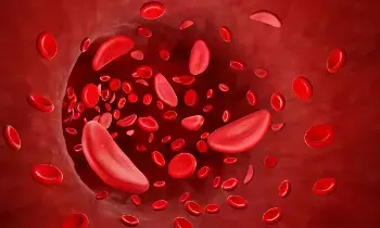 Blood Group Affect How Much Heat You Feel: రక్త గ్రూప్‌ను బట్టి వేడి ఎక్కువగా అనిపిస్తుందా? అసలు నిజాలు వెల్లడించిన నిపుణులు..
