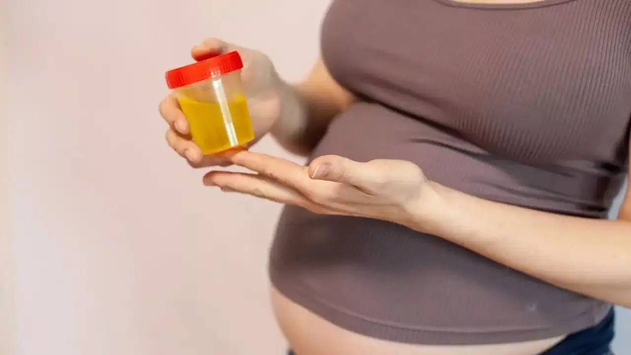 UTI Problems During Pregnancy: గర్భధారణ సమయంలో యూటీఐ సమస్య.. నిర్లక్ష్యం చేస్తే ప్రమాదమే.. UTI Problems During Pregnancy: గర్భధారణ సమయంలో యూటీఐ సమస్య.. నిర్లక్ష్యం చేస్తే ప్రమాదమే..