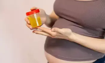 UTI Problems During Pregnancy: గర్భధారణ సమయంలో యూటీఐ సమస్య.. నిర్లక్ష్యం చేస్తే ప్రమాదమే.. UTI Problems During Pregnancy: గర్భధారణ సమయంలో యూటీఐ సమస్య.. నిర్లక్ష్యం చేస్తే ప్రమాదమే..