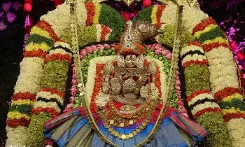 Sri Padmavathi Ammavari Temple: జూన్ నెలలో తిరుచానూరు శ్రీపద్మావతీ అమ్మవారి ఆలయంలో విశేష ఉత్సవాలు