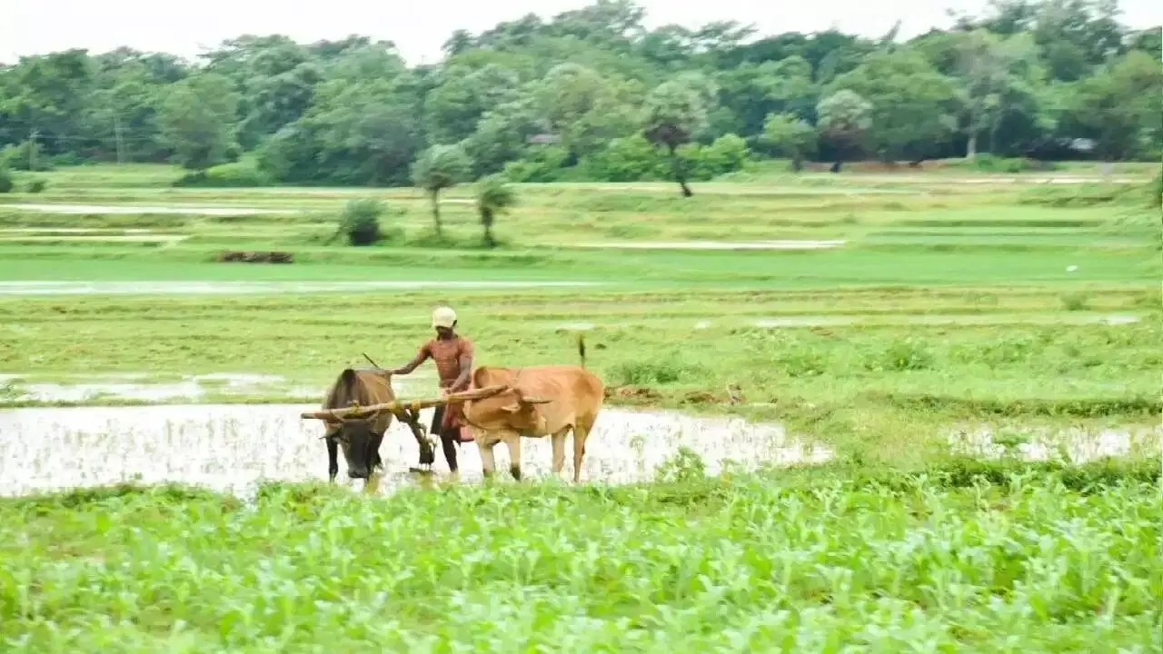 Loan Waiver : రైతన్నలకు అదిరిపోయే గుడ్ న్యూస్.. రూ.2 లక్షల రుణమాఫీకి క్యాబినెట్ గ్రీన్ సిగ్నల్ Loan Waiver : రైతన్నలకు అదిరిపోయే గుడ్ న్యూస్.. రూ.2 లక్షల రుణమాఫీకి క్యాబినెట్ గ్రీన్ సిగ్నల్