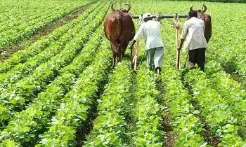 Hormuz Crisis : యుద్ధ సెగ.. భారత ఆర్థిక వ్యవస్థకు రూ.3 లక్షల కోట్ల ముప్పు.. కిచెన్ బడ్జెట్ తలకిందులేనా? Hormuz Crisis : యుద్ధ సెగ.. భారత ఆర్థిక వ్యవస్థకు రూ.3 లక్షల కోట్ల ముప్పు.. కిచెన్ బడ్జెట్ తలకిందులేనా?