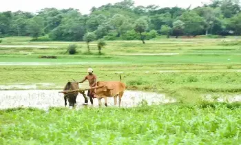 Loan Waiver : రైతన్నలకు అదిరిపోయే గుడ్ న్యూస్.. రూ.2 లక్షల రుణమాఫీకి క్యాబినెట్ గ్రీన్ సిగ్నల్ Loan Waiver : రైతన్నలకు అదిరిపోయే గుడ్ న్యూస్.. రూ.2 లక్షల రుణమాఫీకి క్యాబినెట్ గ్రీన్ సిగ్నల్