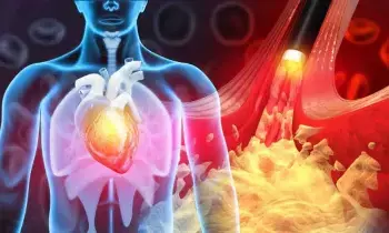 Silent Killer Cholesterol:  సైలెంట్ కిల్లర్ కొలెస్ట్రాల్: పెరిగితే ముప్పే.. ఉండాల్సిన స్థాయిలివే!