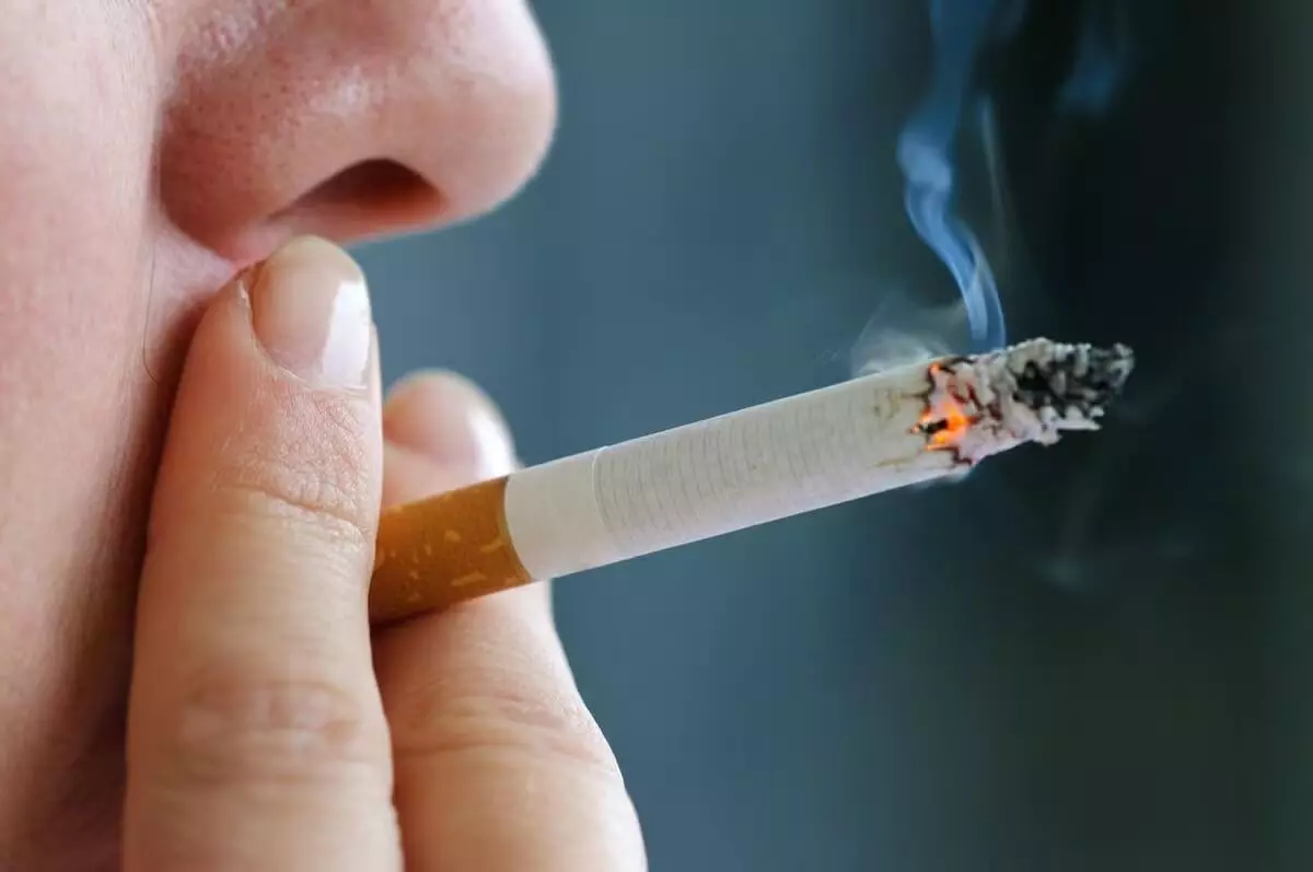 Cigarette: ఒక్క సిగరెట్ అయినా సరే.. మీ గుండె, ఊపిరితిత్తులను ఎంతలా డ్యామేజ్ చేస్తుందో తెలుసా? Cigarette: ఒక్క సిగరెట్ అయినా సరే.. మీ గుండె, ఊపిరితిత్తులను ఎంతలా డ్యామేజ్ చేస్తుందో తెలుసా?